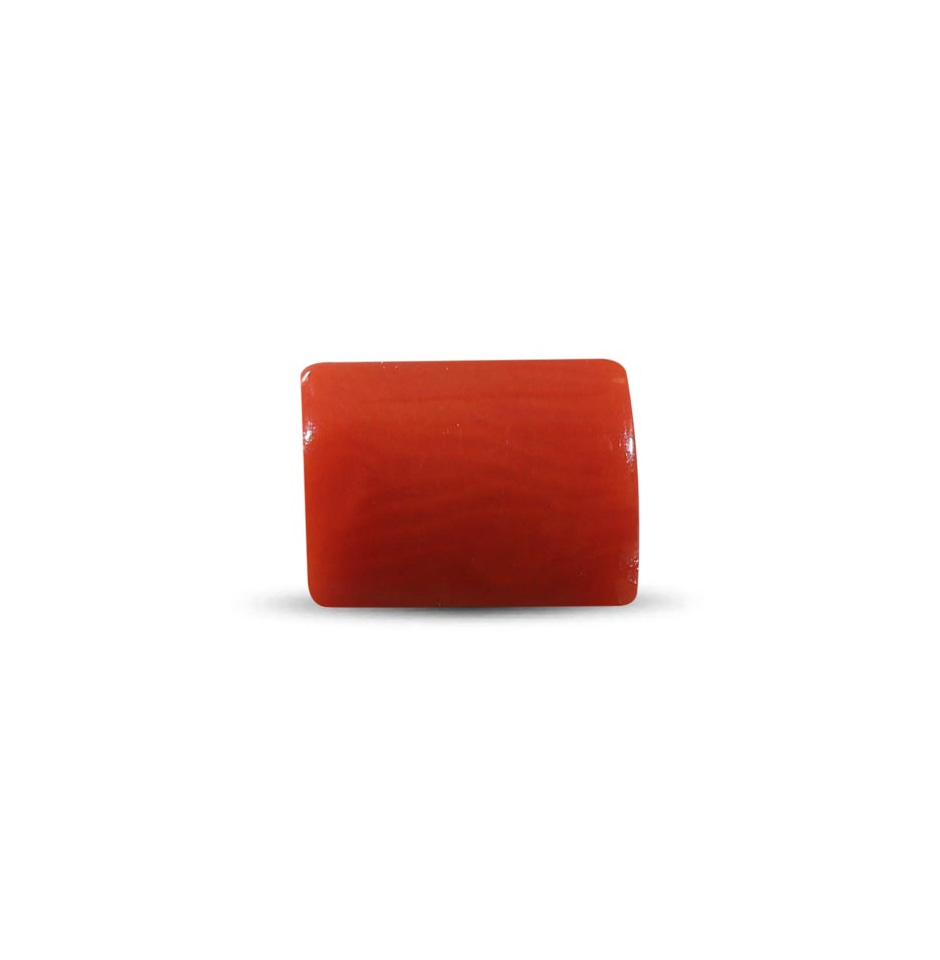 Red Coral - 2.55 Carat