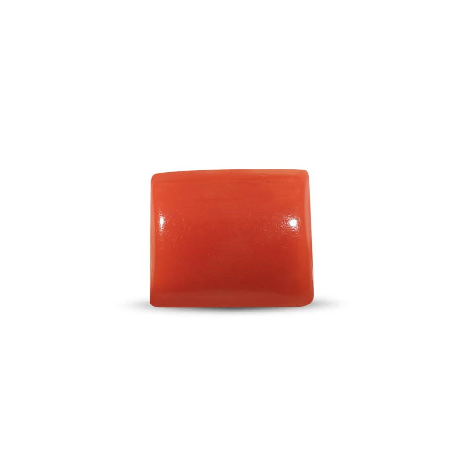 Red Coral - 3.60 Carat