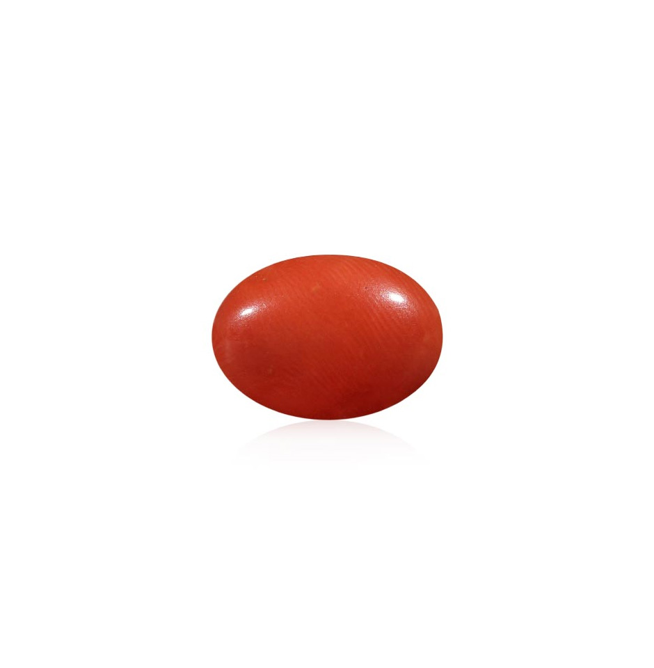 Red Coral - 4.02 Carat