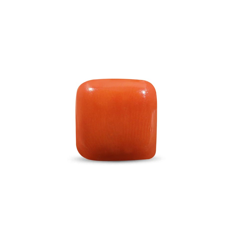 Red Coral - 4.05 Carat