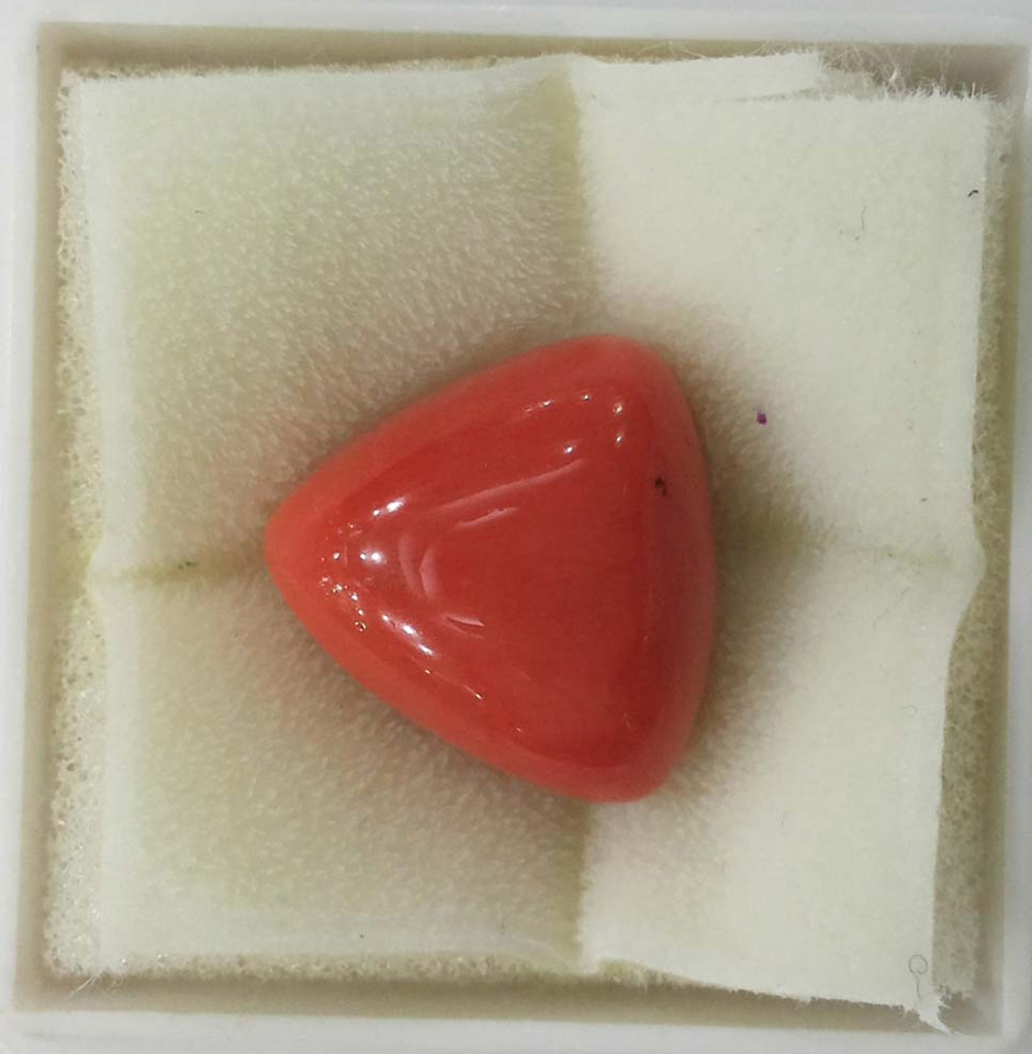 Smooth Triangle Shape Coral Gemstone Cabochon