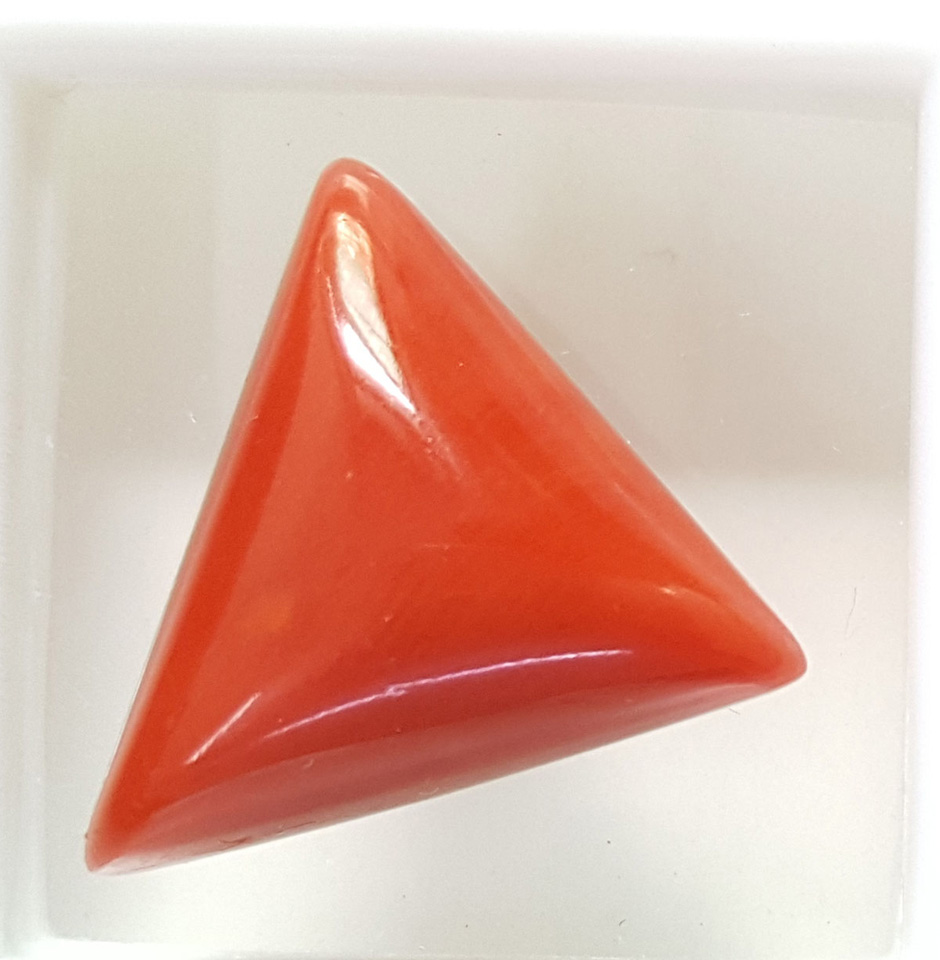 Natural Italy Triangular Red Coral